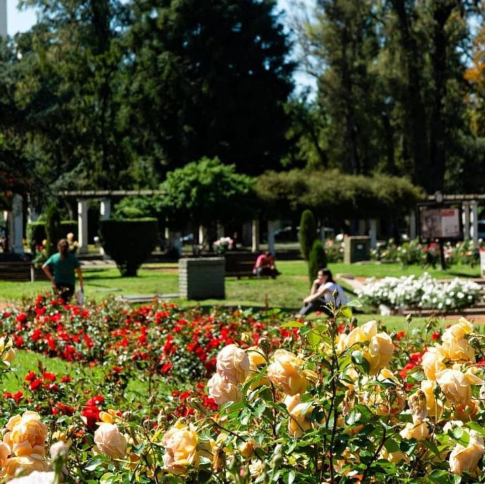 Place Rosario