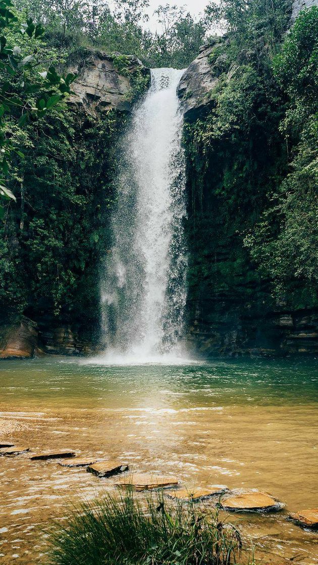 Moda PAISAGENS💚