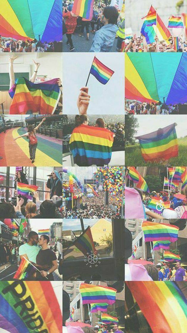 Fashion wallpaper lgbt