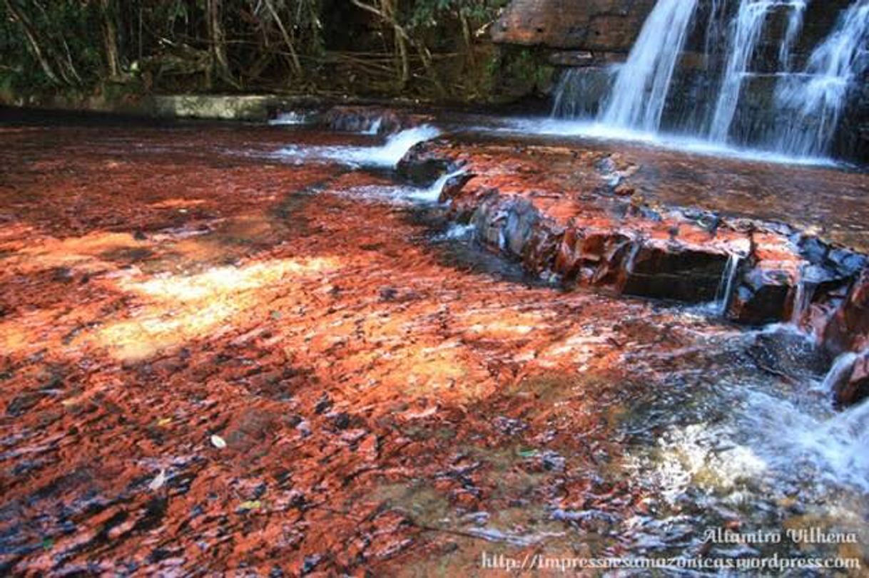 Lugar La Gran Sabana