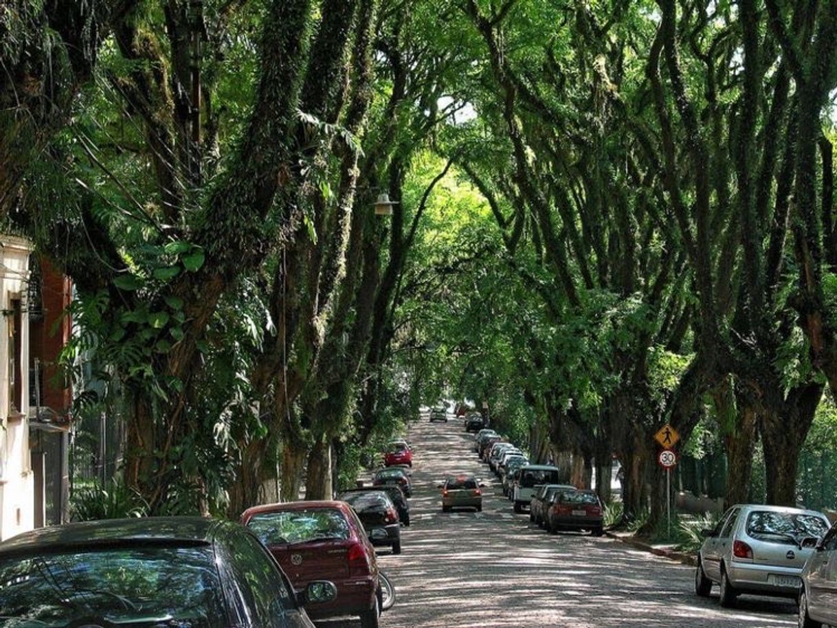 Place Rua Gonçalo de Carvalho