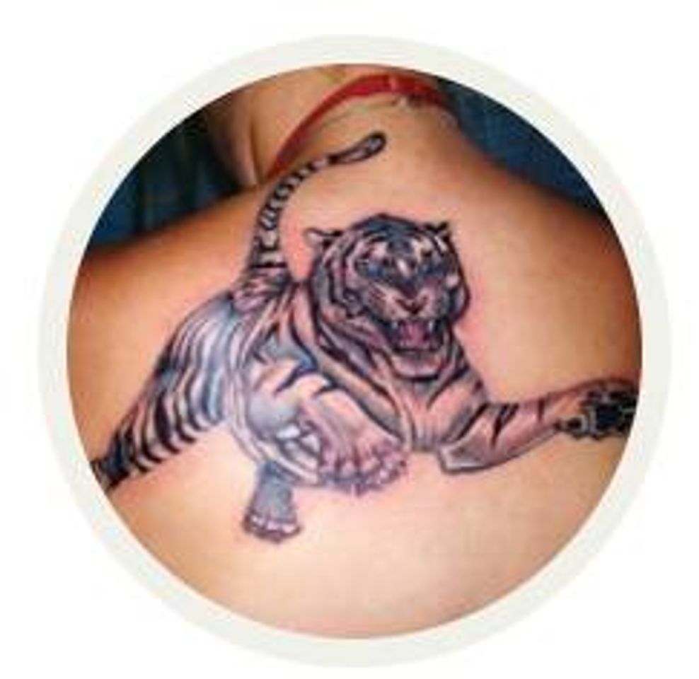 Moda Significado das Tatuagens de Tigre 