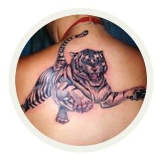Significado das Tatuagens de Tigre 