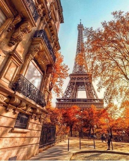 Visite Paris no Outono 🍂 