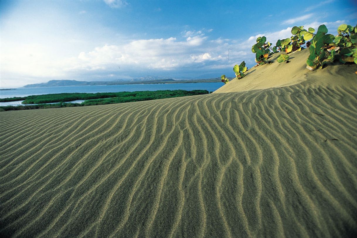 Place Dunas De Bani,