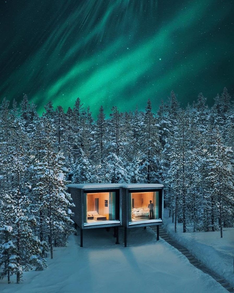 Fashion Arctic TreeHouse Hotel 