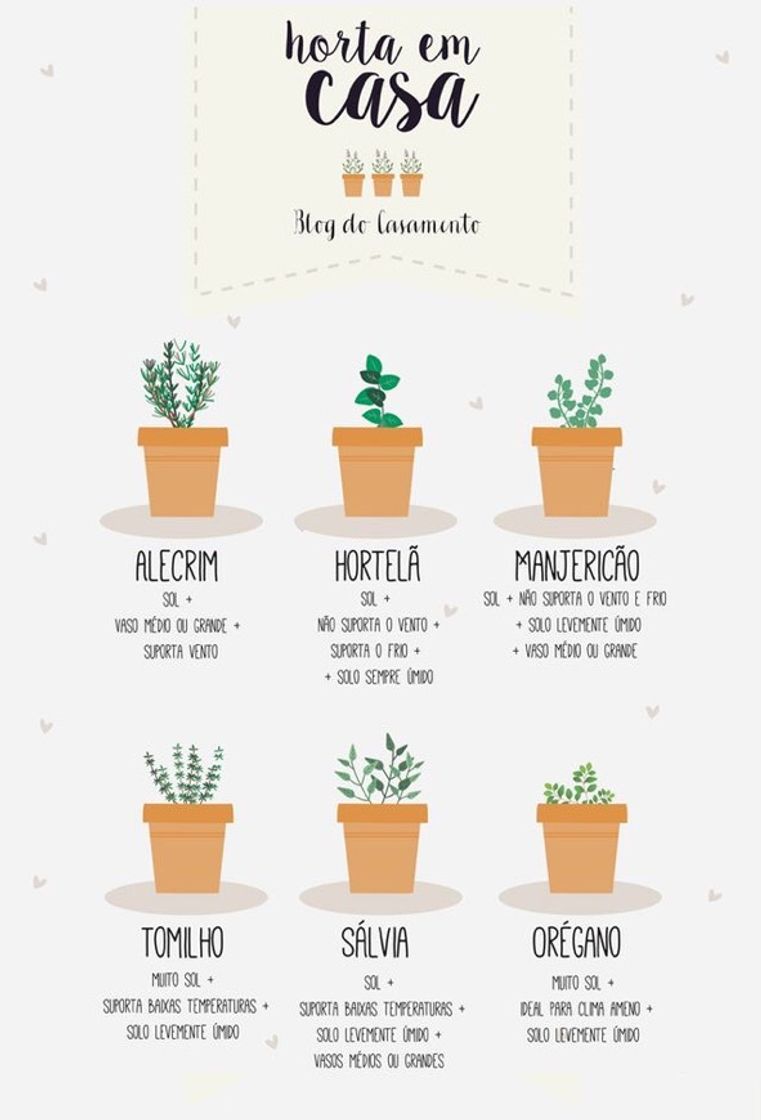 Fashion Dicas de jardinagem 