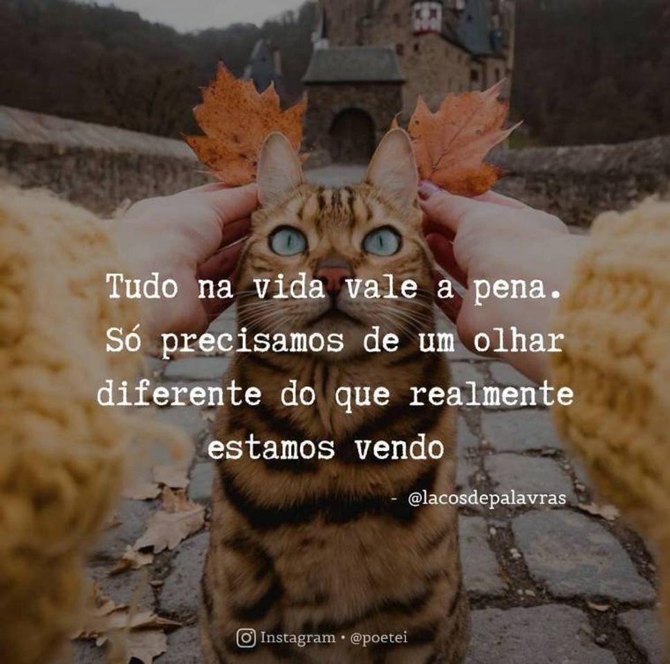 Moda Frases motivacionais!!