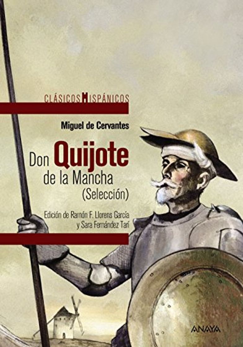 Book Don Quijote de la Mancha