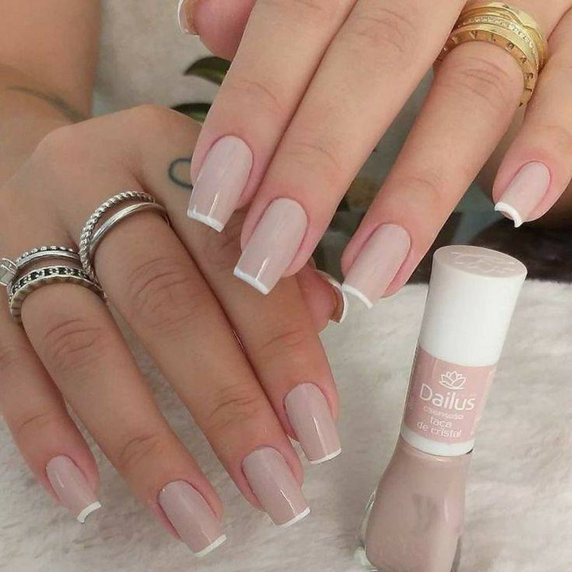 Moda UNHAS