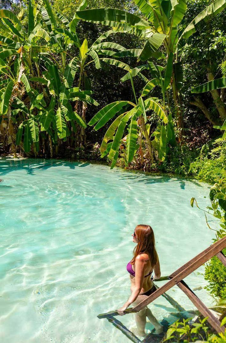 Social Jalapão 🌊