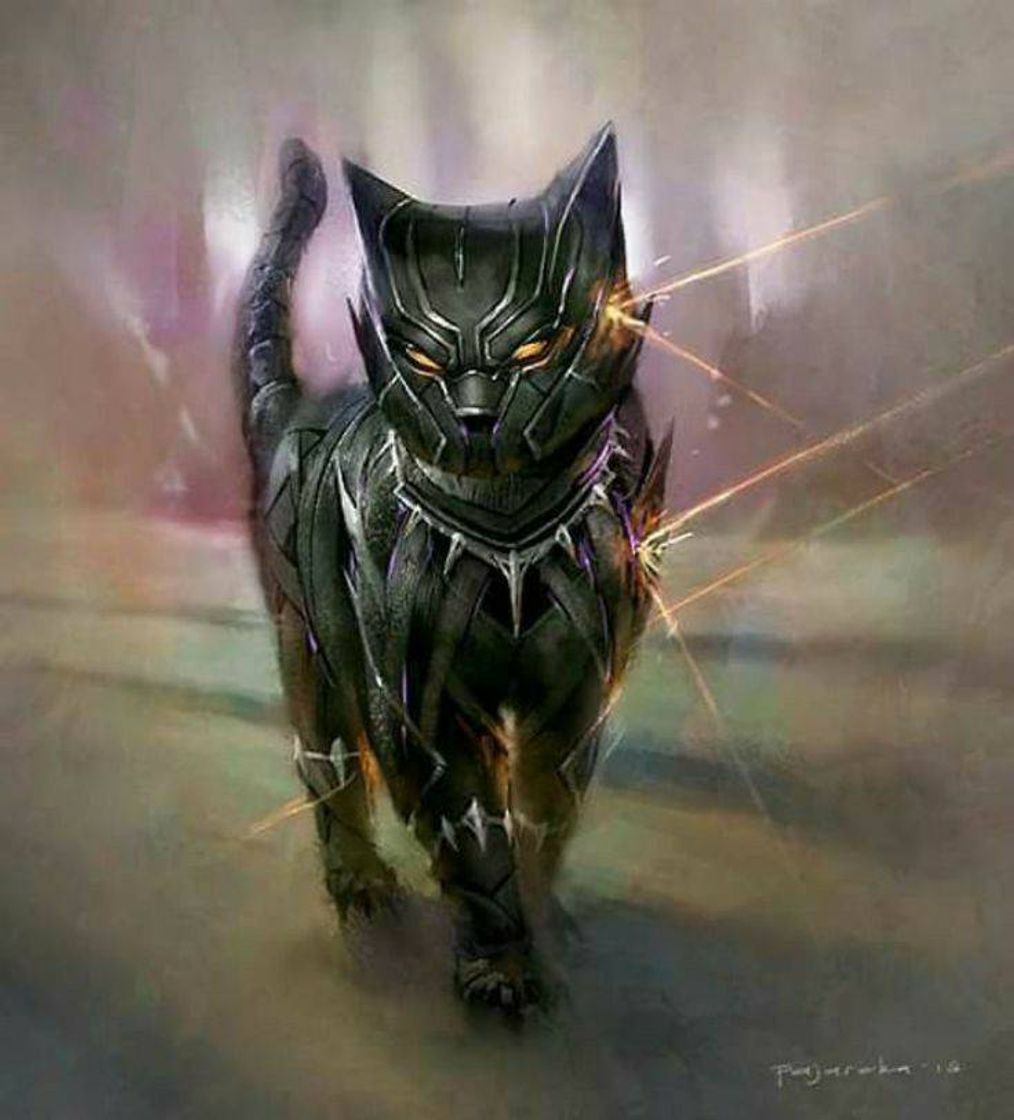 Social Desenho de gato 