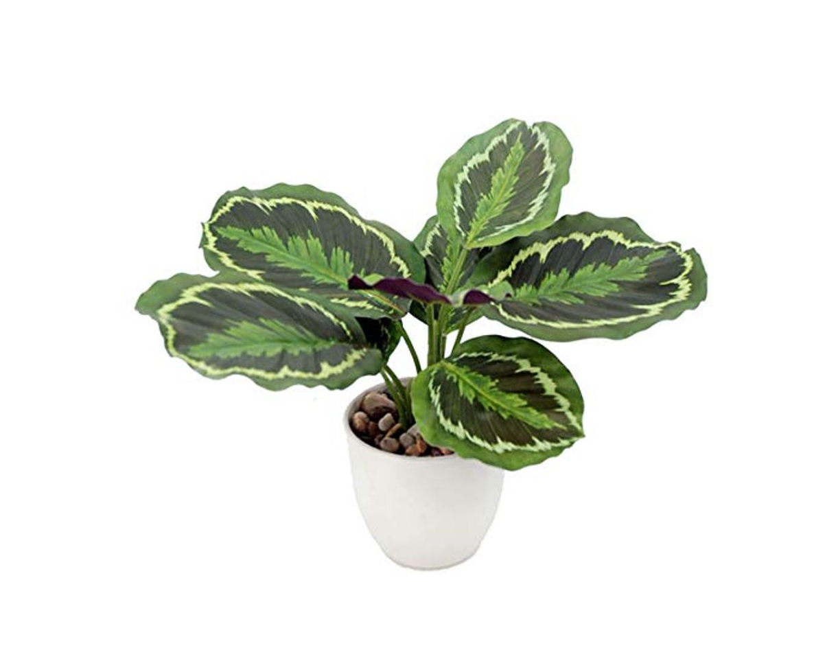 Producto MI CASA Planta Artificial calatea veitchiana Tacto Natural Real