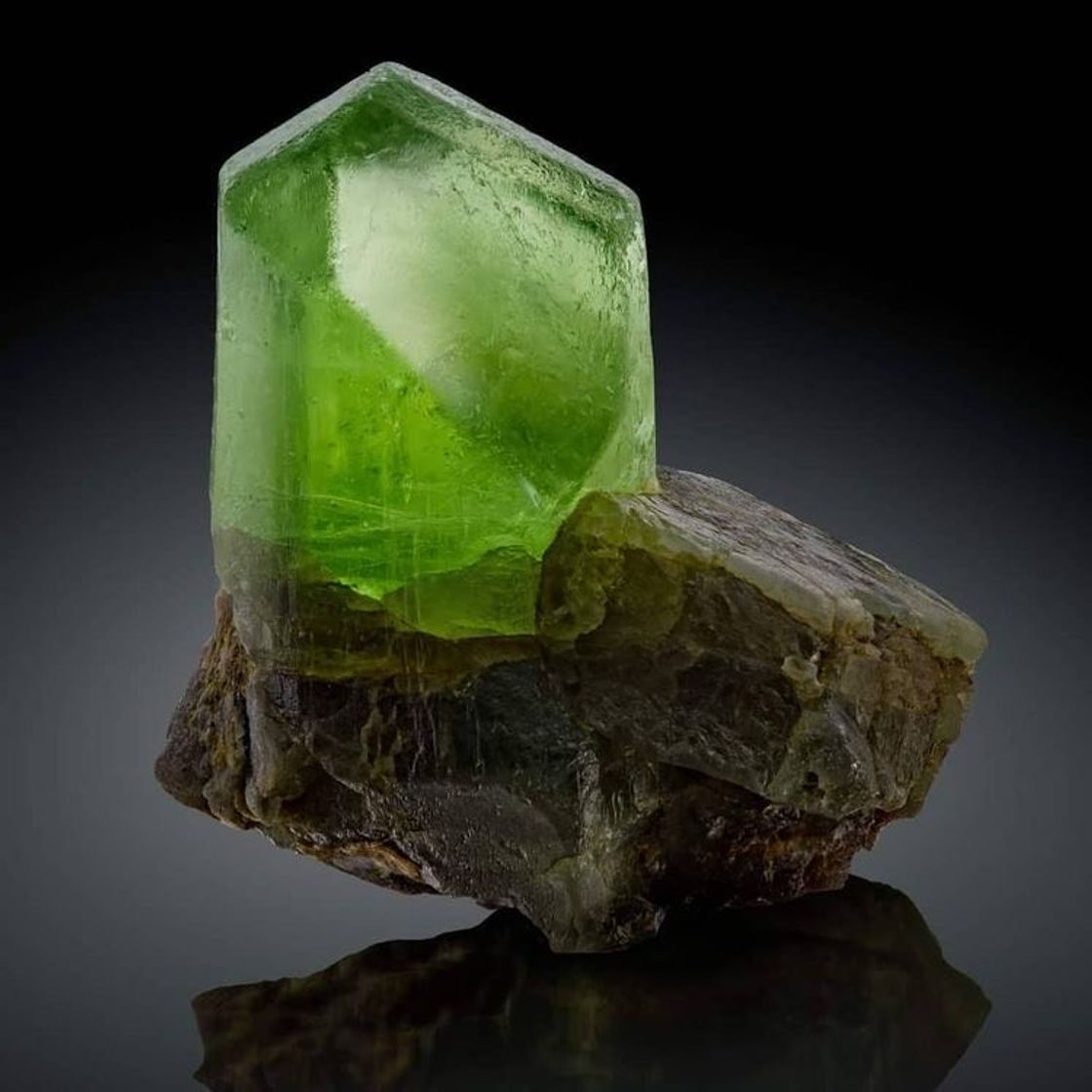 Social Peridoto