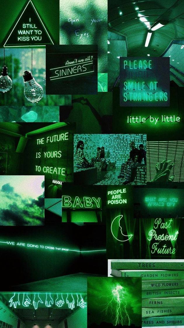 Fashion wallpaper verde aesthetic 💚