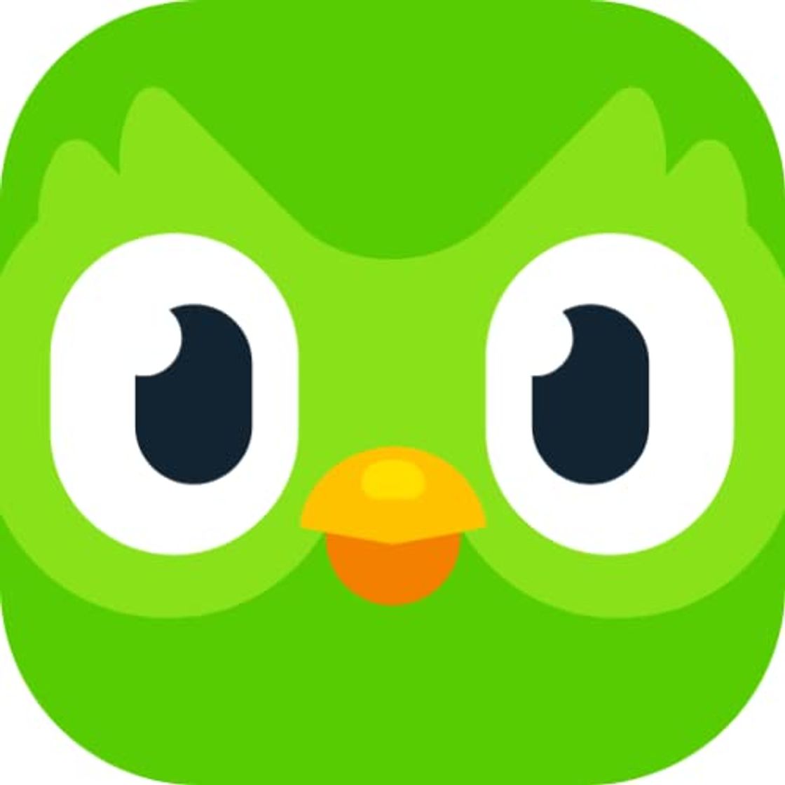 Product Duolingo