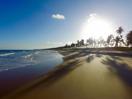 Praia de Imbassaí