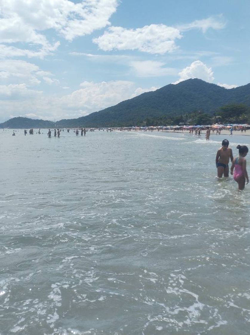 Social Vamos passear