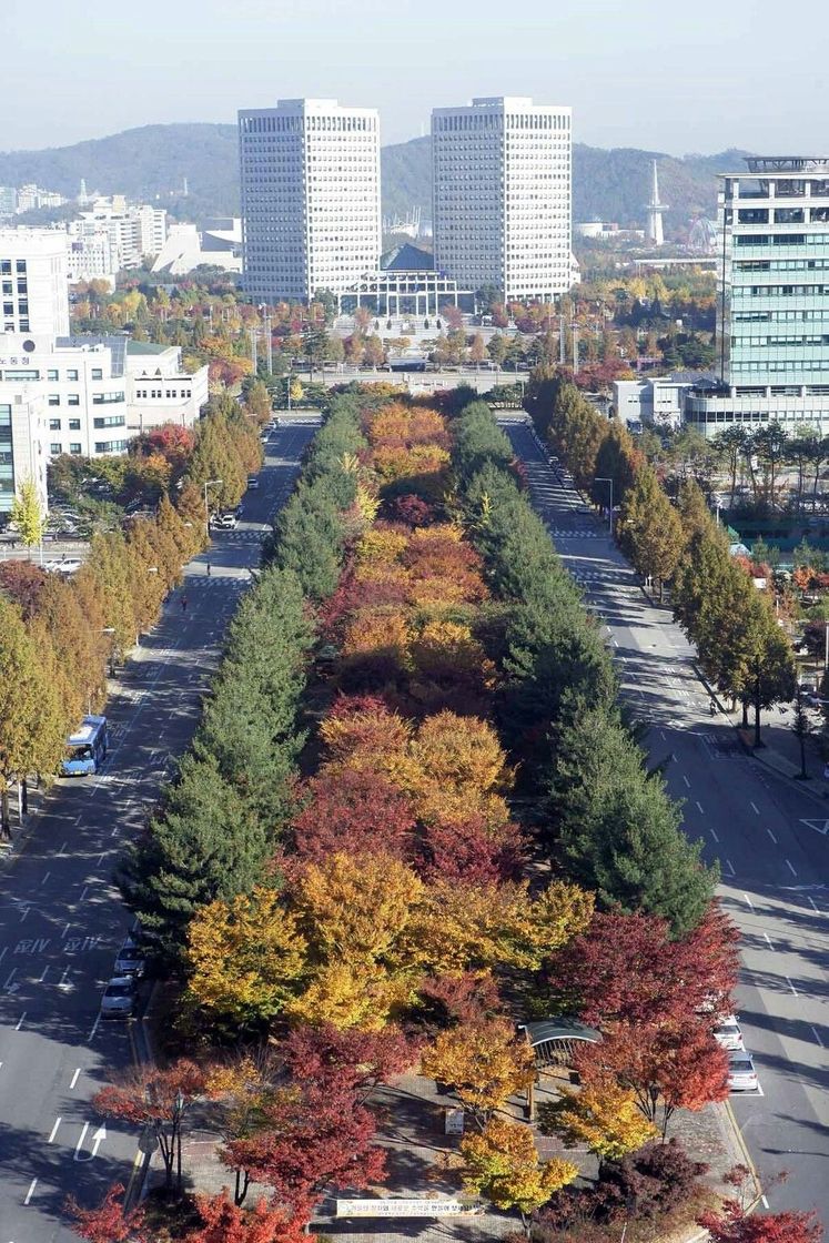 Place Daejeon