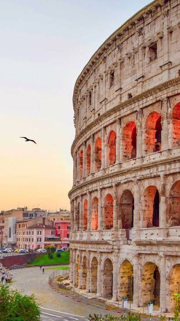 Lugar Coliseo de Roma