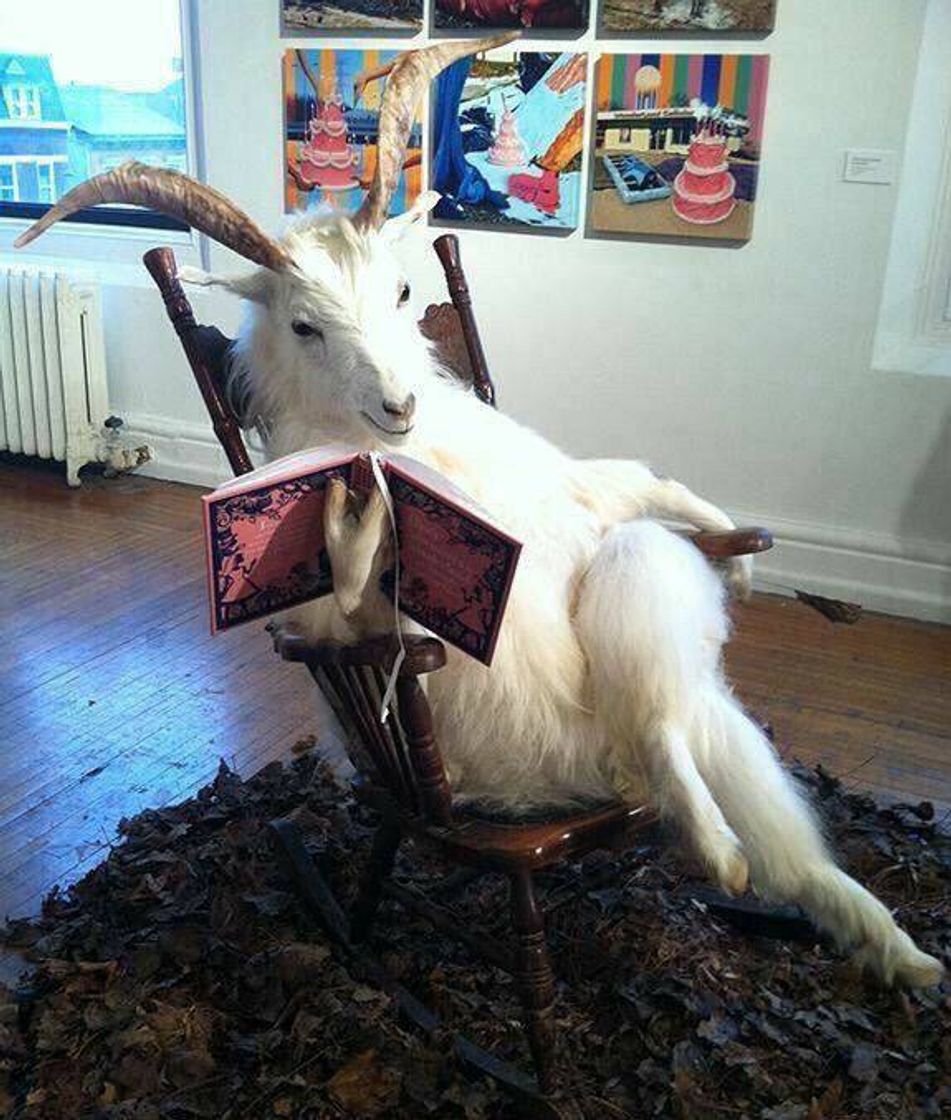 Social Bichinhos cottagecore para te fazer questionar sobre a vida