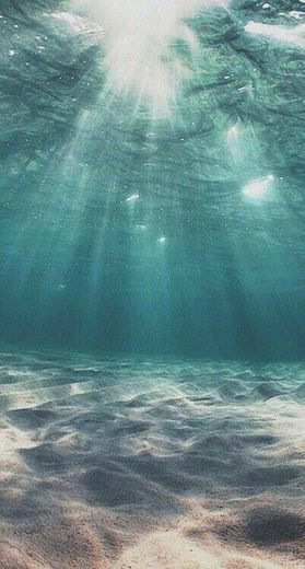 Blue ocean 💙🌊