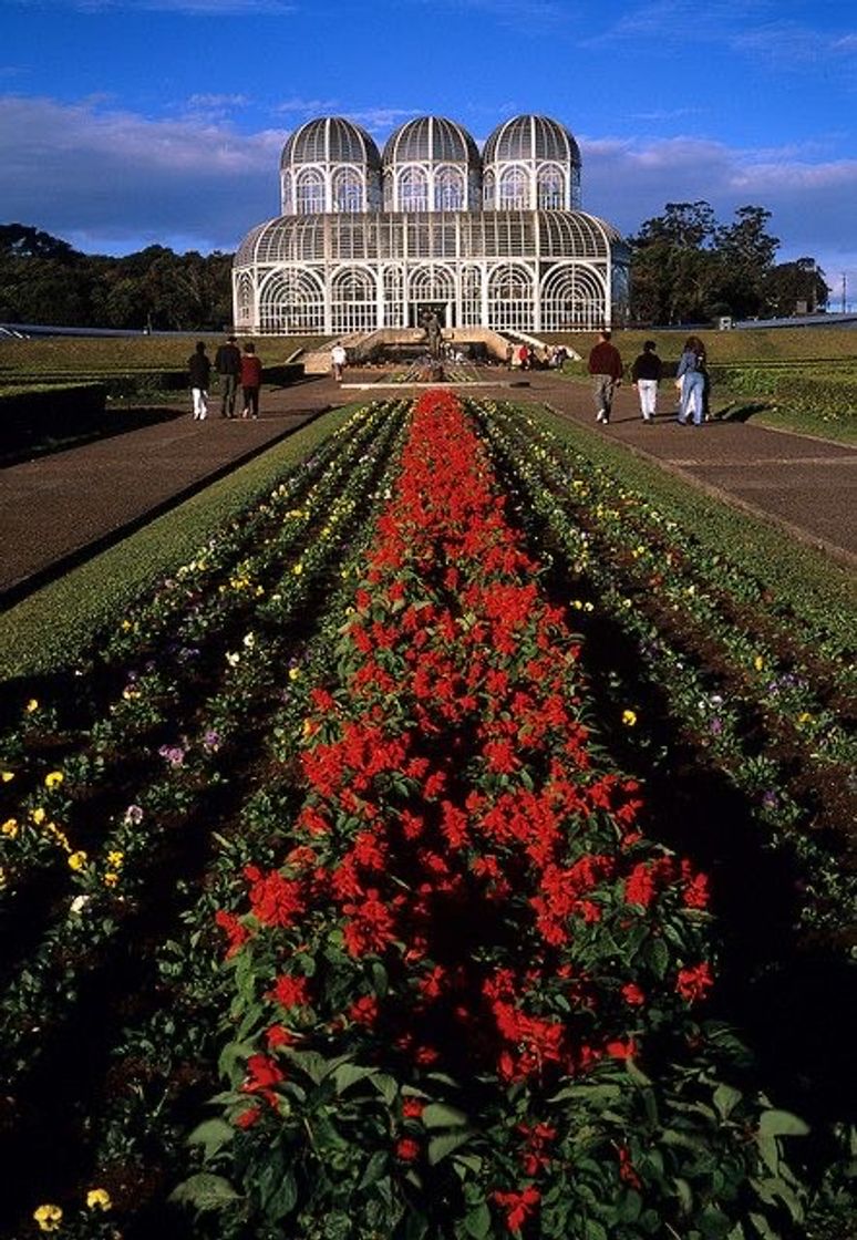 Social Estufa do Jardim botânico - Curitiba/Brasil🇧🇷