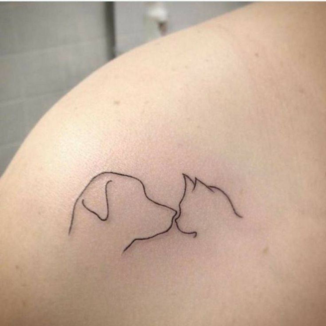 Moda Tattoo gato e cachorro simples