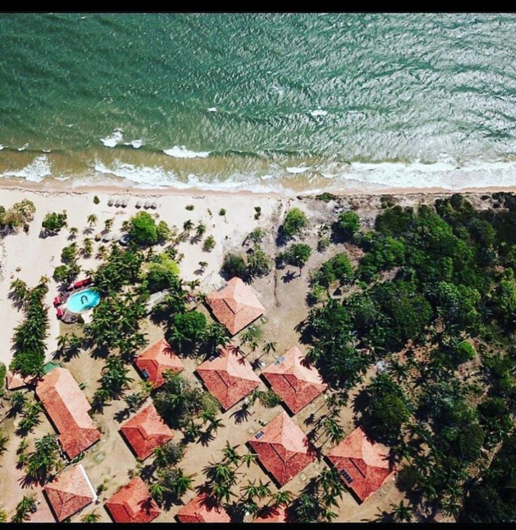 Lugar Pousada dos Guarás - Salvaterra