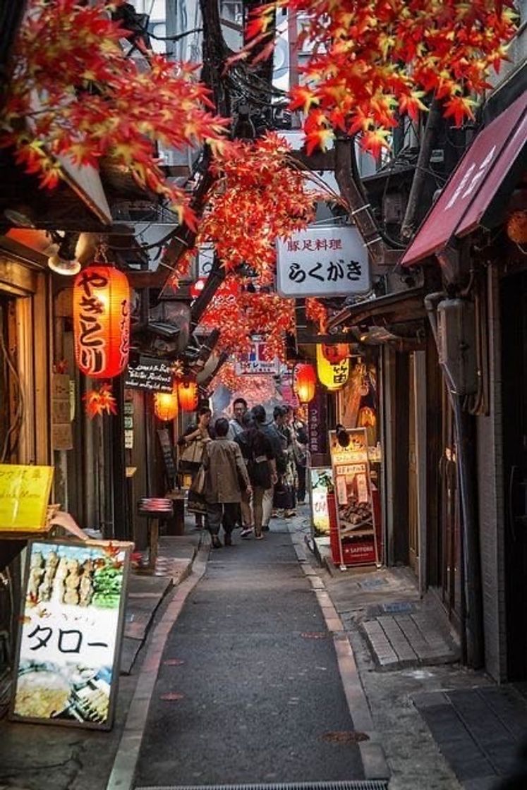 Moda Omoide Yokocho 🍂