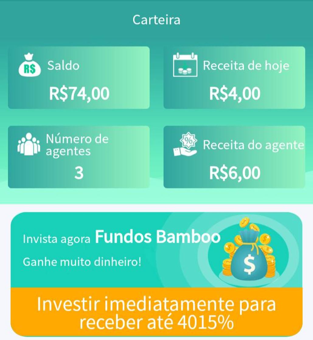 Social Bamboo braz