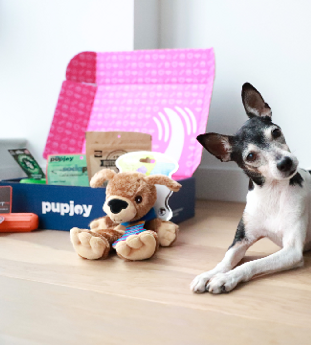 Moda #PupJoy monthly box 📦 👌 