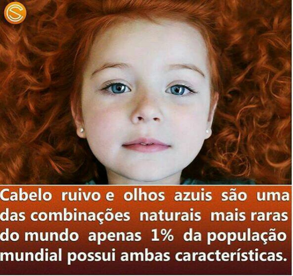 Moda Bem curioso