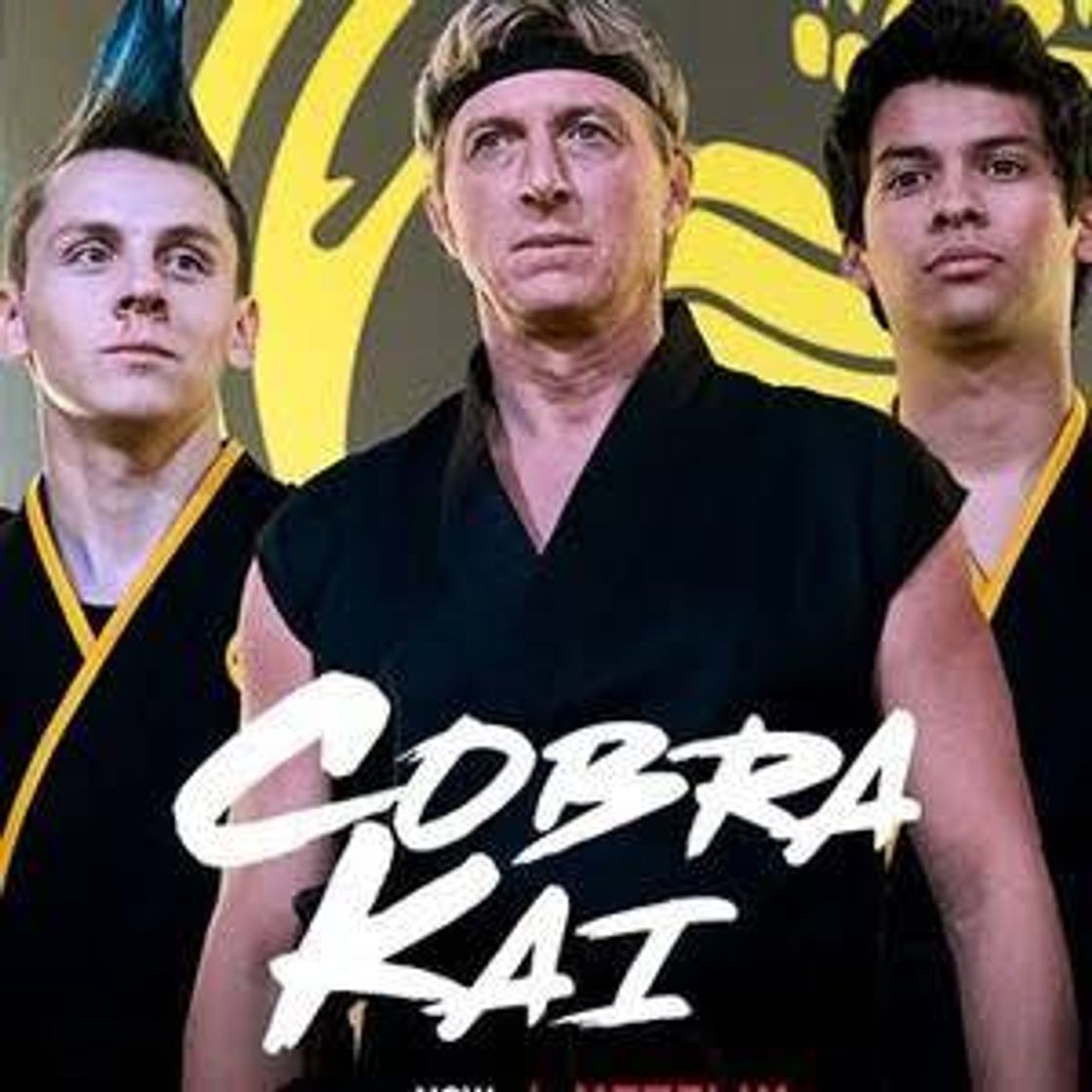 Serie Cobra Kai