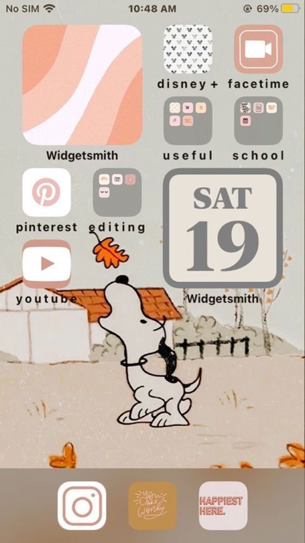 Social Organização ios 14