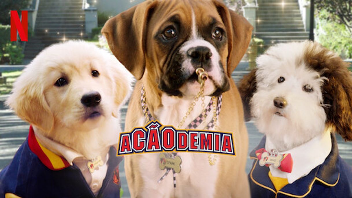 Acãodemia