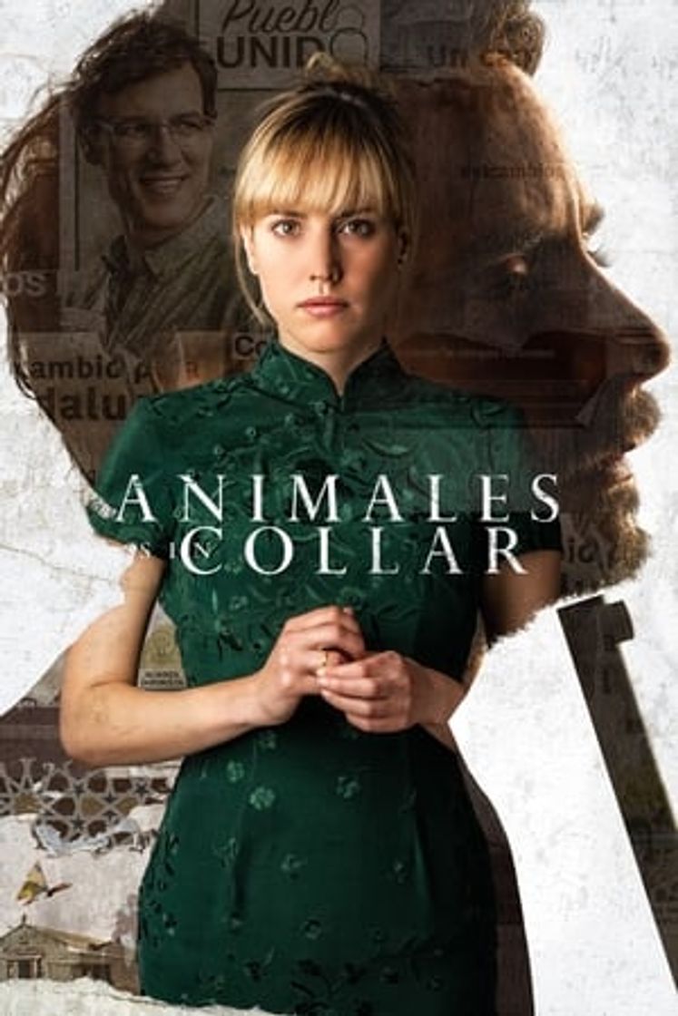 Movie Animales sin collar