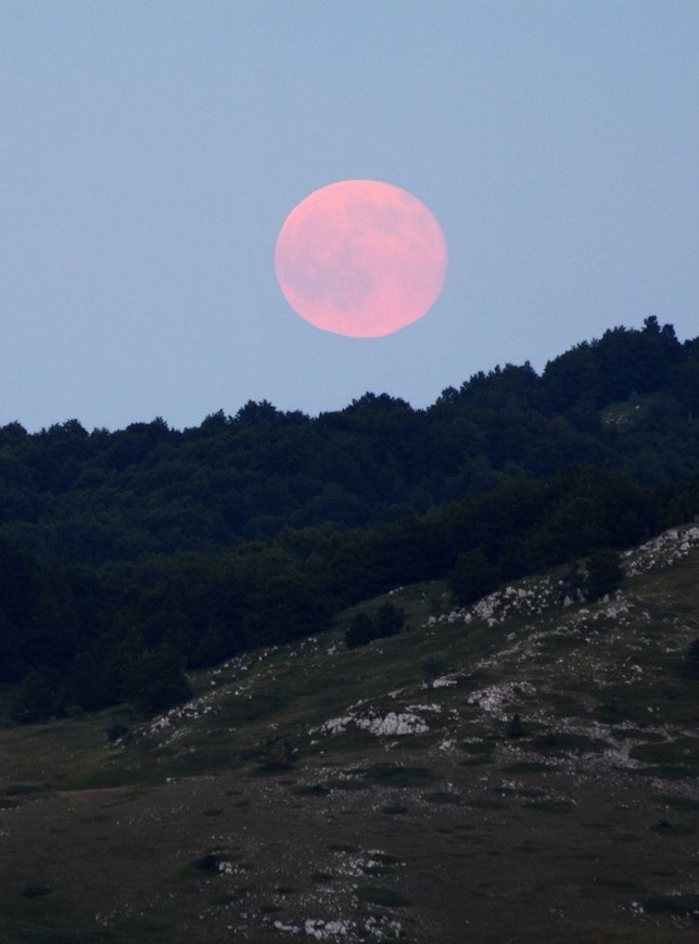 Moda Pink Moon