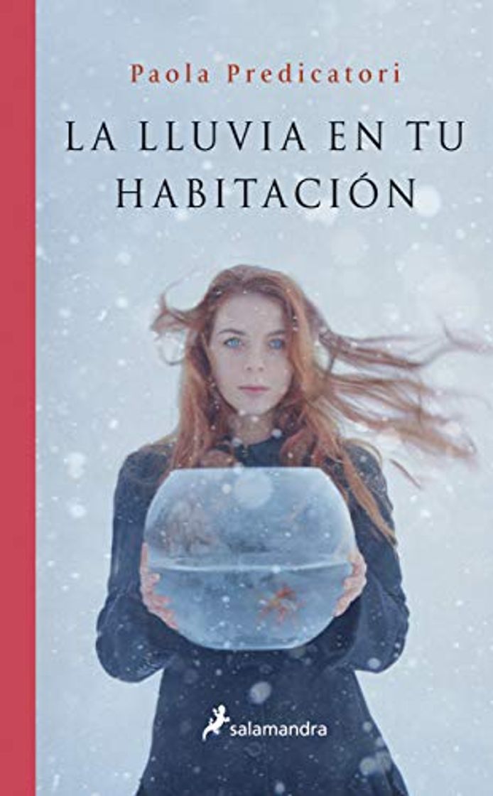 Libro La lluvia en tu habitación