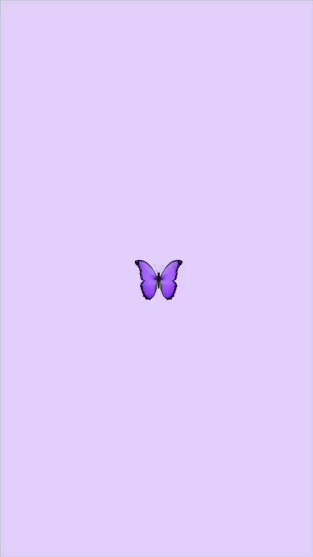 Fashion Butterfly 🦋💜