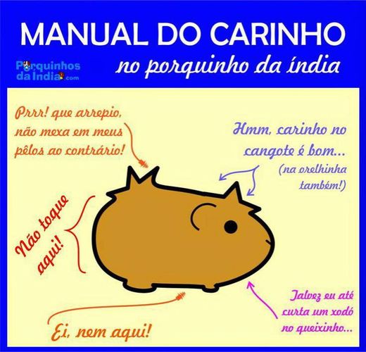 Manual do carinho 