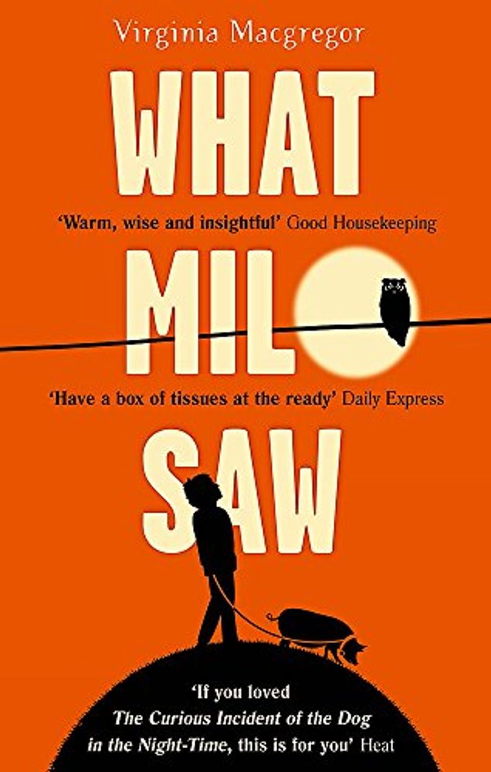 Libro What Milo Saw: He sees the world in a very special way