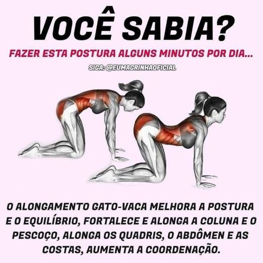 Você sabia?! 