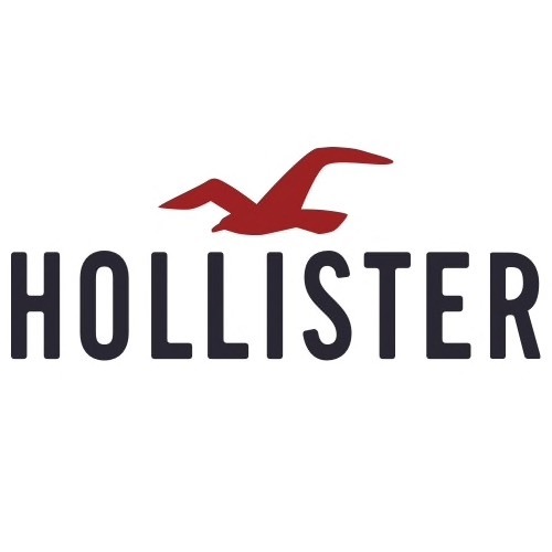 Social Hollister Co. Carpe Now | Clothing for Guys and Girls