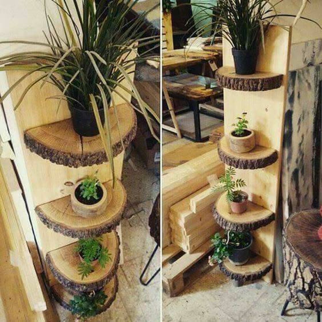 Fashion Ideias com rodelas de troncos de árvores. 🌳