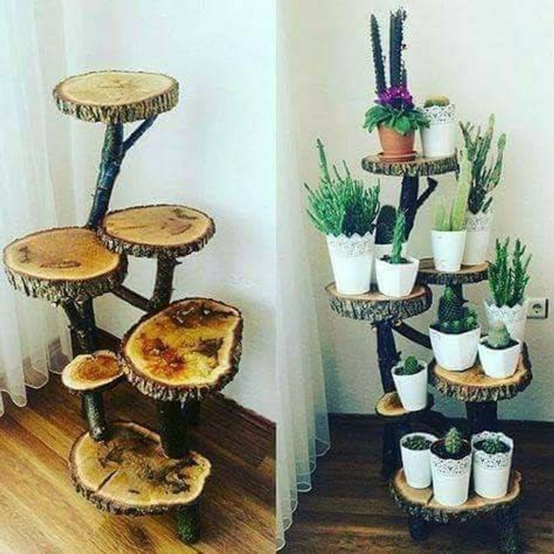 Fashion Ideias com rodelas de troncos de árvores. 🌳