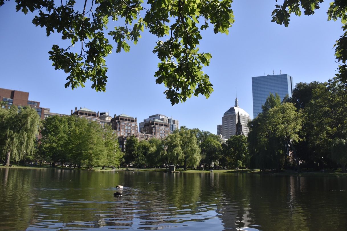 Place Boston Common