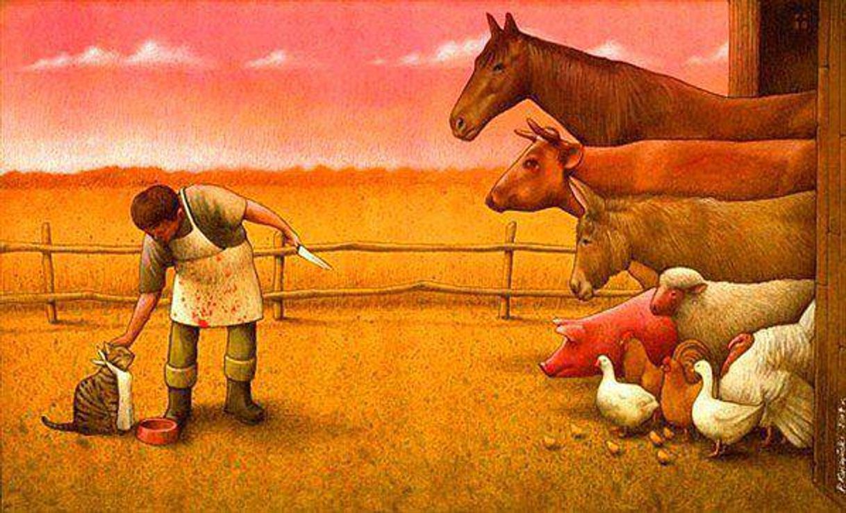 Fashion Pawel kuczynski