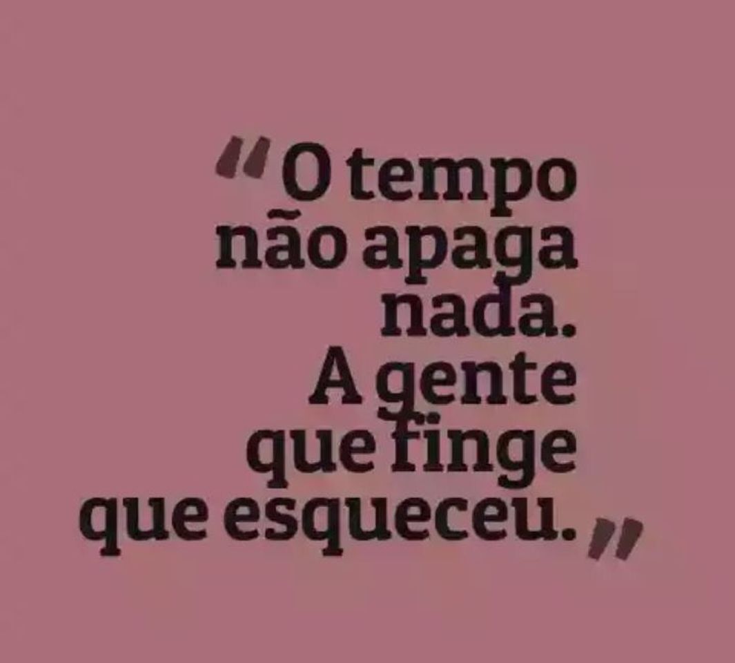 Fashion Frases