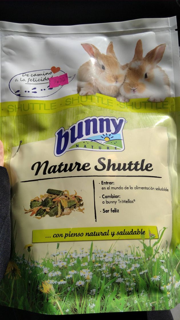 Fashion Bunny nature, nature shuttle